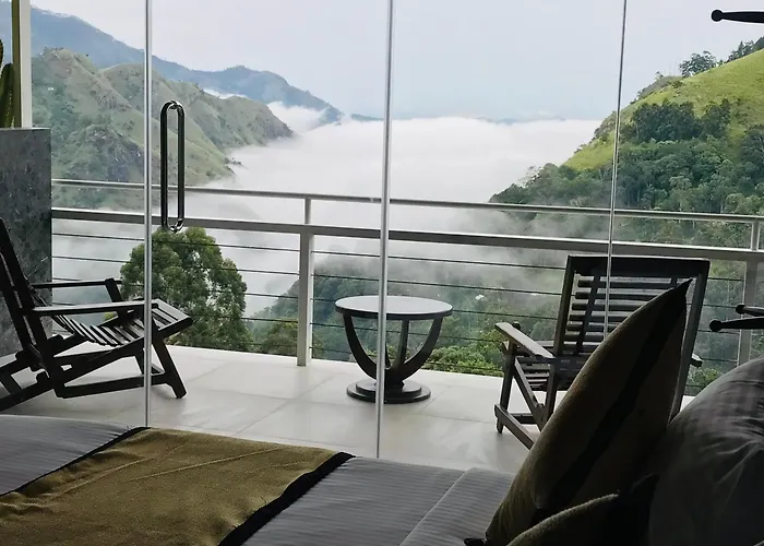 Ella Hide View