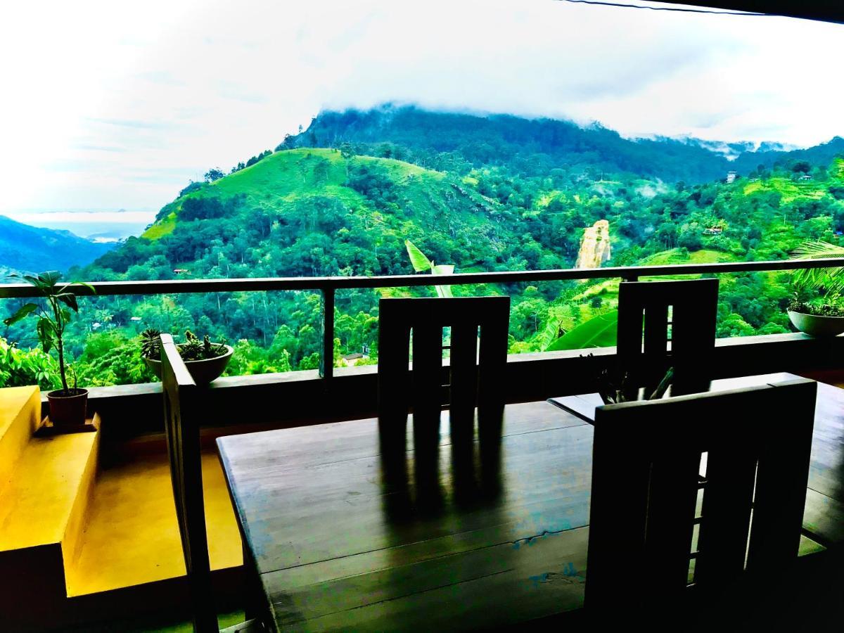 Hide View 2*
